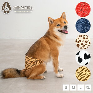 }i[xg S/M/L/XL Solgra-\O- p }i[EFA }i[pi@ hbNEFA   pi SO24AW