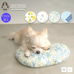 N[s[ M/L Solgra-\O- p ڐG⊴ Ђ SO24SS