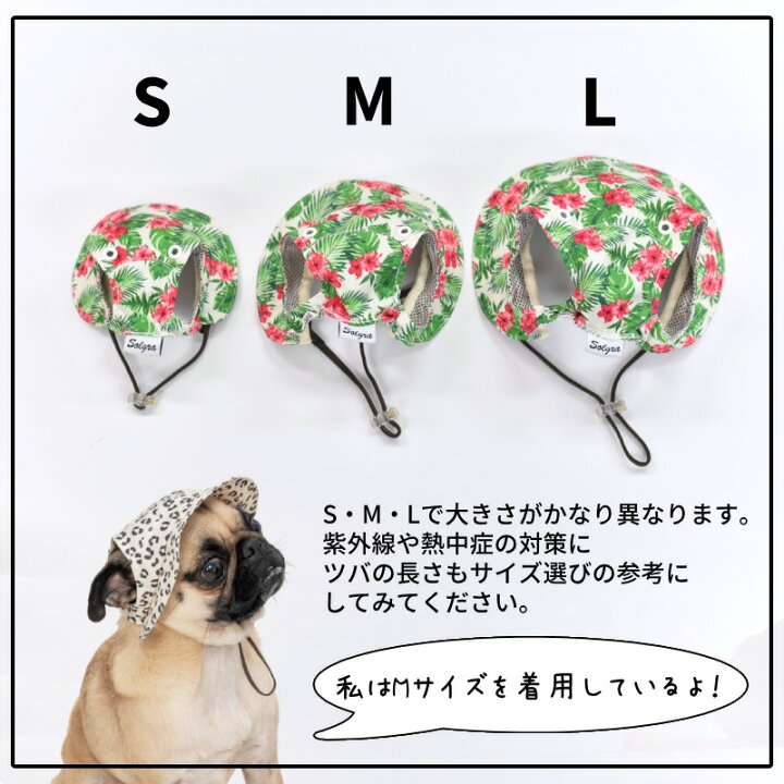 犬用帽子ssss〜Mサイズのオーダー受け付けは こちらからどうぞ 舞う
