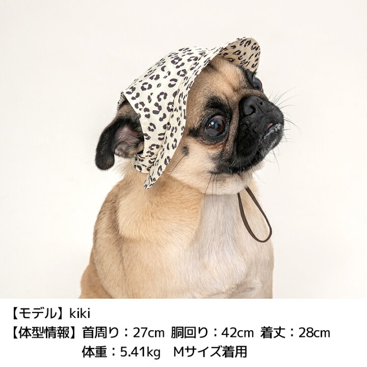 楽天市場】帽子 S/M/L Solgra-ソルグラ- 犬用 暑さ対策 冷感 ひんやり 