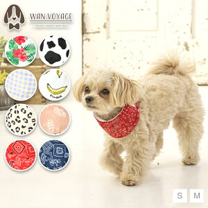 N[lbN S/M Solgra-\O- p ۗ܃Zbg ΍ Mǖh~ Ђ ⊴ ₦ ₷ SO24SS