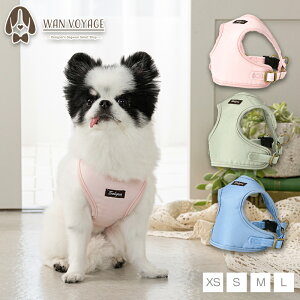 i`LoXn[lX XS/S/M/L Solgra-\O- pn[lX  n[lX  ɂ Ȃ EȂ Eɂ  킢 SȂ ^ ^ SO25SS