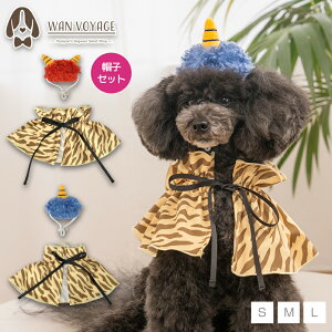 �y�����ʔ̌���z�S����X�^�C S/M/L SOLGRA -�\���O��- ���p �R�X�v�� �ߕ� SO26SS