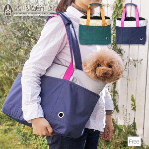 2g[iCg[gobO Free Solgra-\O- p ybgp U gCv[h ` |jA