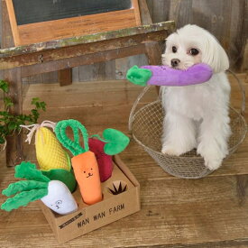 ハッピーお野菜フレンズ Solgra TOY -ソルグラ トイ- 犬用おもちゃ ドッグトイ ノーズワークトイ SO21SS