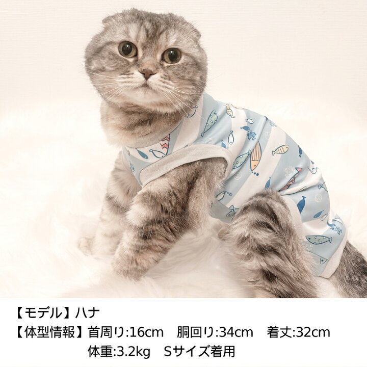 楽天市場】術後のケアウェア ネコちゃん用 XS/S/M Solgra-ソルグラ- 猫 