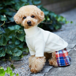 `FbNv[cXJ[g S/M/L/XL/XXL TINOTITO eBmeB[g