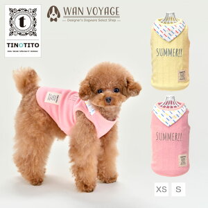 y2019NtĐVzTINOTITO o_ipC^Ngbv XS/S/M/L/XL/XXL