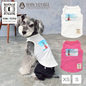 TINOTITO-eBmeB[g- pCibv]ʃ^Ngbv XS/S/M/L/XL/XXL