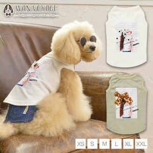 {tK[^N XS/S/M/L/XL/XXL TINOTITO-eBmeB[g-  hbOEFA gCv[h ` |jA Ώ