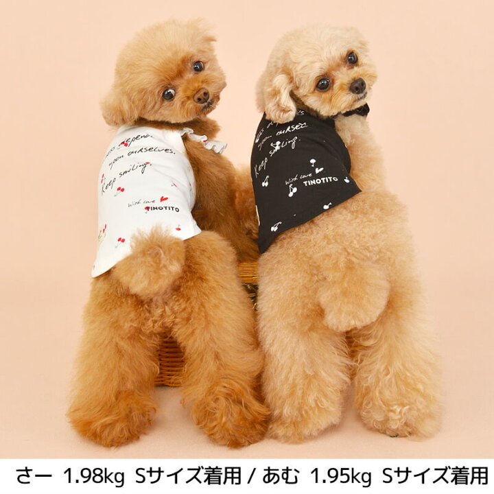 楽天市場】チェリー柄キャミソール XS/S/M/L/XL/XXL TINOTITO-ティノ 