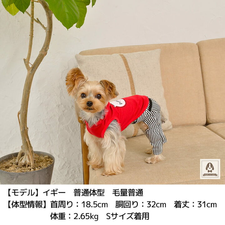 楽天市場 おねだりパーカ Xs S Tinotito ティノティート 犬服 ドッグウェア トイプードル チワワ ポメラニアン Wan Voyage