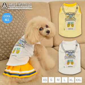 |ChJ^N XS/S/M/L/XL/XXL TINOTITO-eBmeB[g-  hbOEFA gCv[h ` |jA