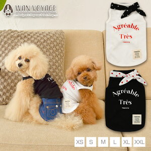 VtHXJ[t^N XS/S/M/L/XL/XXL TINOTITO-eBmeB[g-  hbOEFA gCv[h ` |jA Ώ