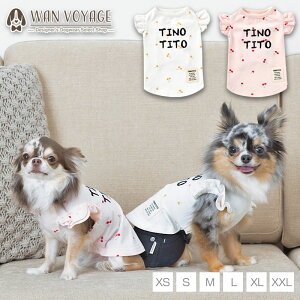 `F[t^N XS/S/M/L/XL/XXL TINOTITO -eBmeB[g-  hbOEFA gCv[h ` |jA TT22SS