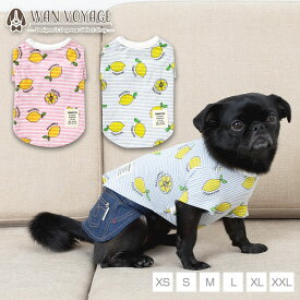 レモン柄Tシャツ XS/S/M/L/XL/XXL TINOTITO -ティノティート- 犬服 ドッグウェア トイプードル チワワ ポメラニアン TT22SS 名入れ対象