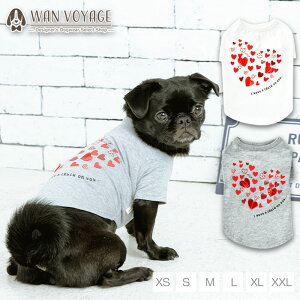 ̃n[gTVc XS/S/M/L/XL/XXL TINOTITO -eBmeB[g-  hbOEFA gCv[h ` |jA TT22SS