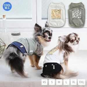 LLvg^N XS/S/M/L/XL/XXL TINOTITO -eBmeB[g-  hbOEFA gCv[h ` |jA TT23SS