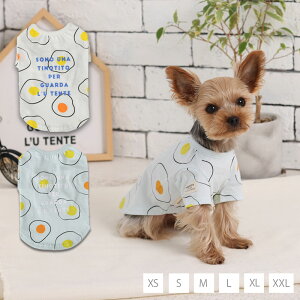 ڋʏĂTVc XS/S/M/L/XL/XXL TINOTITO -eBmeB[g-  hbOEFA gCv[h ` |jA TT23SS