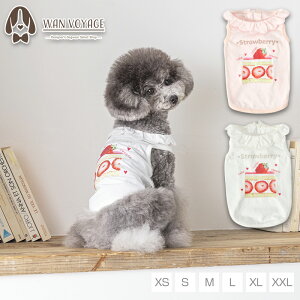 XJbv݃^N XS/S/M/L/XL/XXL TINOTITO -eBmeB[g-  hbOEFA TT24SS