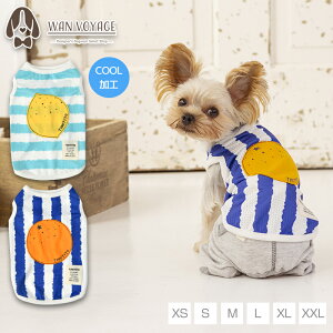 t[cAbvP^N XS/S/M/L/XL/XXL TINOTITO -eBmeB[g-  hbOEFA TT24SS