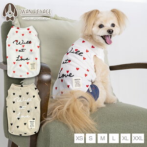 n[g^N XS/S/M/L/XL/XXL TINOTITO -eBmeB[g-  hbOEFA TT24SS