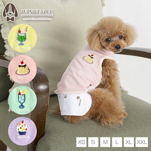 XC[chJ^N XS/S/M/L/XL/XXL TINOTITO -eBmeB[g-  hbOEFA TT24SS