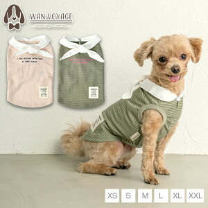 ы݃{[_[^N XS/S/M/L/XL/XXL TINOTITO -eBmeB[g-  hbOEFA TT24SS