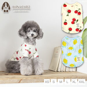 vgTVc XS/S/M/L/XL/XXL TINOTITO -eBmeB[g-  hbOEFA TT24SS