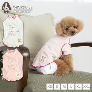 Jt[TVc XS/S/M/L/XL/XXL TINOTITO -eBmeB[g-  hbOEFA TT24SS