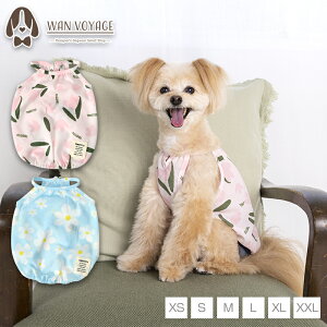 t[vgL~ XS/S/M/L/XL/XXL TINOTITO -eBmeB[g-  hbOEFA TT24SS