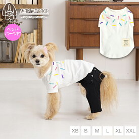 カラフルプリントTシャツ XS/S/M/L/XL/XXL TINOTITO -ティノティート- 犬服 ドッグウェア TT24SS