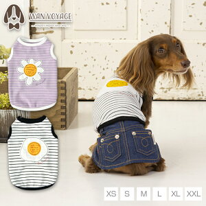 AbvP{[_[^N XS/S/M/L/XL/XXL TINOTITO -eBmeB[g-  hbOEFA TT24SS