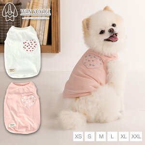 n[g|Pbg^N XS/S/M/L/XL/XXL TINOTITO -eBmeB[g-  hbOEFA TT25SS