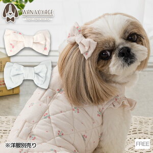 R[fC{ Free Un TouTou -AgDgD- p ANZT[ UT25AW