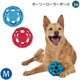 ホーリーローラーボール M【追跡可能メール便】【全国一律送料無料】