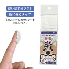 オクチブラシ ぴたポイ 30枚入 KPS【追跡可能メール便】【全国一律送料無料】