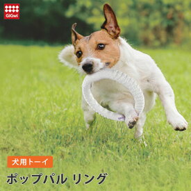 ポップパル リング【追跡可能メール便】【全国一律送料無料】