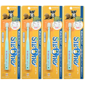 VO qpuVyǐՉ\[ցzySꗥz