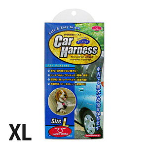 J[n[lX XL pV[gxgySꗥz