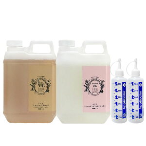 R X[p[O[hVv[Ag[ggRfBVi[ e2LAKPS AvP[^[2yꕔnzyyz