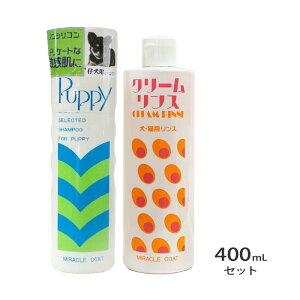 ~NR[g ps[Vv[AN[X e400ml ZbgySꗥz