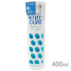 ~NR[g zCgVv[ 400mlySꗥz