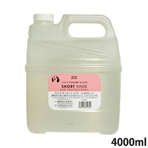 ]CbN V[g X 4000ml Ɩpyꕔnzyyz