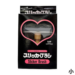  XeX\tg^Cv XbJ[uV yǐՉ\[ցzySꗥz