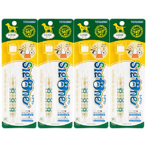 VO RpNg puV [WyǐՉ\[ցzySꗥz