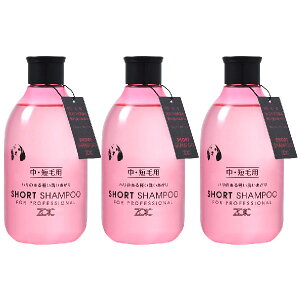 ]CbN V[gVv[ 300ml 3{y}g}ցzySꗥz