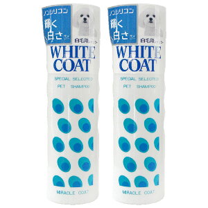 ~NR[g zCgVv[ 400ml 2{y}g}ցzySꗥz