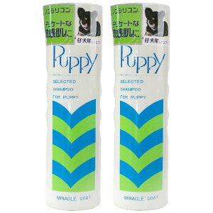 ~NR[g ps[Vv[ 400ml 2{y}g}ցzySꗥz