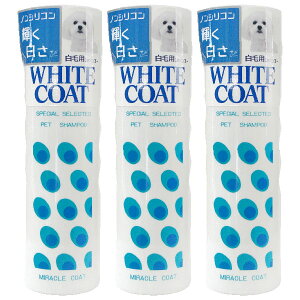 ~NR[g zCgVv[ 400ml 3{y}g}ցzySꗥz